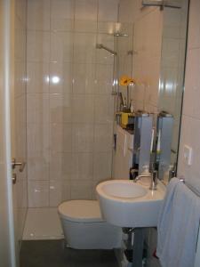 a bathroom with a sink and a toilet and a shower at Zum oberen Schulhof in Konstanz