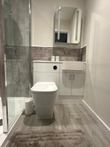 a white bathroom with a toilet and a shower at Brada View - Bamburgh, Northumberland in Bamburgh +42 photos