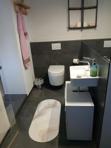 a bathroom with a toilet and a sink at FeWo Eriswil by R&B in Eriswil +6 photos