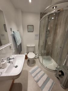 ein Badezimmer mit Dusche, Toilette und Waschbecken in der Unterkunft Orkneyinga in Kirkwall + 28 Fotos