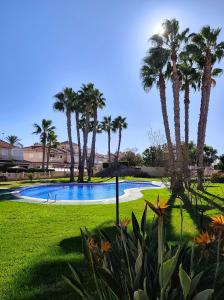 a swimming pool with palm trees in a park at Light Blue Apartment Orihuela Costa in Orihuela Costa