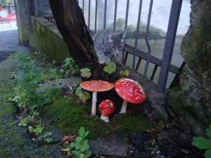 Zahrada ubytování Profum Di Bosc