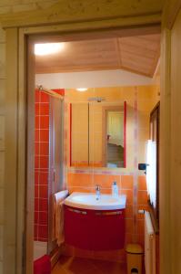 a bathroom with a red sink and a shower at Profum Di Bosc in Arta Terme