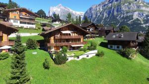 a house on a hill with a mountain in the background at Apartment St. Louis 3.5 - GriwaRent AG in Grindelwald
