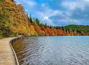 a body of water next to a forest with autumn leaves at Chambre avec SPA "Chez les Garçons" in Le Bouchet-Saint-Nicolas +5 photos