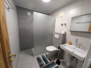 a bathroom with a toilet and a sink and a shower at Ferienwohnung Tanja in Winterberg