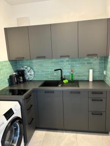 a kitchen with a sink and a washing machine at Quartier 8 - Ein-Zimmer-Apartment in Geisenfeld