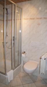 Hotel Karwendelblick في Urfeld: حمام مع دش ومرحاض ومغسلة
