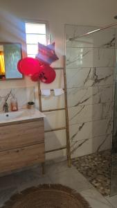 a bathroom with a sink and a glass shower at Eden hibiscus in Petit-Canal +15 photos