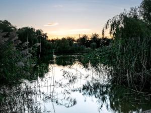a view of a river at sunset at Lake View Lodges - 25076 in Old Leake