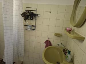 a bathroom with a green tub and a mirror at Szemben apartment in Csengőd +3 photos