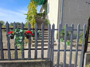 a fence with red flowers in pots on it at Szemben apartment in Csengőd