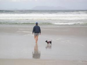 Gallery image of Belle Mer Guest House in Pringle Bay