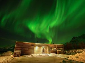 a cabin with the aurora in the sky at Seafront Luxury Villa near Henningsvær in Kleppstad