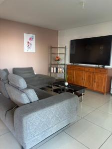 a living room with a couch and a flat screen tv at Kaz Toutoune in Saint-Leu