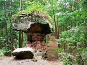 a rock formation on a trail in a forest at Rausblick Cabin in Bruchweiler-Bärenbach +22 photos