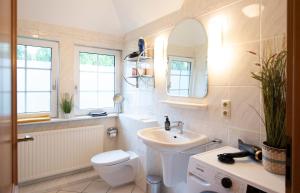 a bathroom with a toilet and a sink at Heideidyll - Wohnung mit WLAN, Balkon, Grill & Garage in Schneverdingen