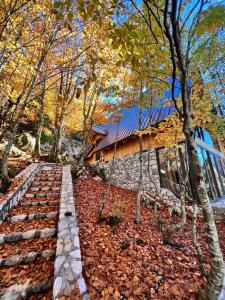 a stone path in front of a house at Chalet Jezerca in Valbonë +7 photos