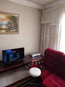 a living room with a red couch and a flat screen tv at Nkotsha The Palace in Diepkloof