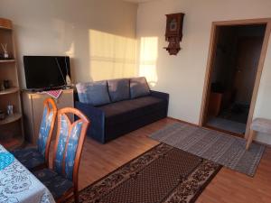 a living room with a couch and a tv at Butas in Gaveikėnai