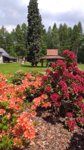 a bunch of flowers in a garden with a gazebo at Dworek Myśliwski in Łaziska