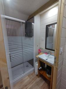 a bathroom with a shower and a sink at Chambre bordeaux in La Roche-sur-Yon
