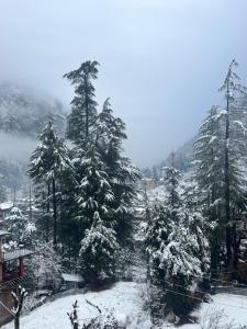 Gallery image of Delight Homestay in Kasol