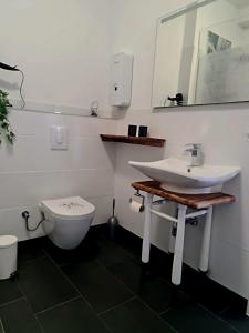 a bathroom with a sink and a toilet at Casa Mia in Goslar +12 photos