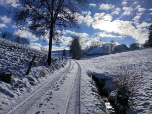 a snow covered path in a field with a tree at FeWo Eriswil by R&B in Eriswil