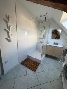 a bathroom with a shower and a sink at Gîte le Nid in Uffholtz