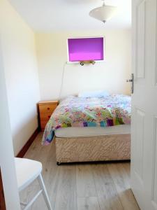 a bedroom with a bed with a purple monitor on the wall at An Tigín, Gortadoo in Dingle