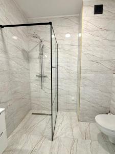 a bathroom with a shower and a toilet at Apartament Stare Miasto 2 in Elblag +8 photos
