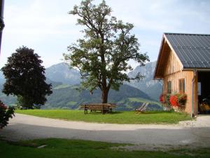 a wooden bench sitting next to a tree next to a building at Ringlerhof in Michaelerberg