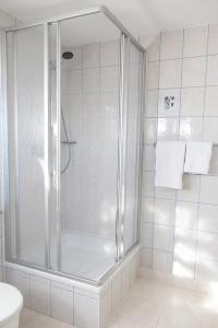 a shower with a glass door in a bathroom at Traussegghof Ferienhaus Familie Uhl in Tanzelsdorf +13 photos