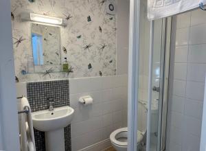 a bathroom with a sink and a toilet and a mirror at The Raincliffe Hotel in Scarborough +46 photos