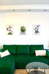 a green couch in a living room with a glass table at VestaLak in Tata