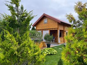 a wooden house with a yard and trees at Domek u Emi jakuzzi Wilkasy Giżycko in Wilkasy