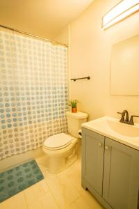 a bathroom with a toilet and a sink and a shower at Cozy MasterRoom Gresham Park in Atlanta
