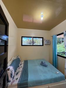 a bed in a room with two windows at Villa Nicolasa in Siquijor