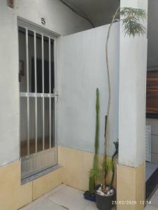 a front door of a house with a cactus at Quitinete 5 Itaguaí in Itaguaí
