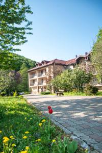 a red flower in the grass in front of a building at Bogolvar Retreat Resort - Курорт для усамітнення "Богольвар" in Antalovtsi