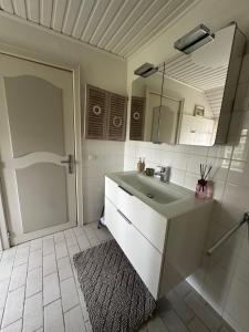 a bathroom with a sink and a mirror and a shower at Deichbrise in Aventoft