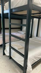 a group of bunk beds in a room at Pakbeng Backpackers in Pakbeng
