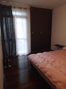 a bedroom with a bed and a window with curtains at Dominik in Bar