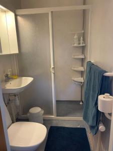 a bathroom with a shower and a toilet and a sink at Örkelljunga overnight stay in Orkelljunga