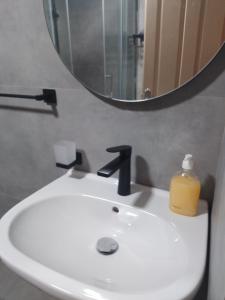 a bathroom sink with a soap dispenser and a mirror at Dominik in Bar +25 photos