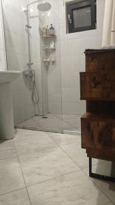 a bathroom with a shower with a glass door at Ultracentral Biblioteca in Caracal