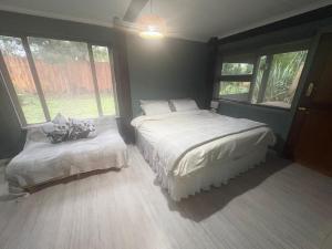 a bedroom with two beds and two windows at Dragon Fly in Stormsrivier