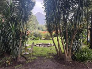 a chair sitting in a garden between two palm trees at Dragon Fly in Stormsrivier