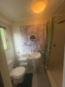 a bathroom with a toilet and a sink at Dragon Fly in Stormsrivier +11 photos